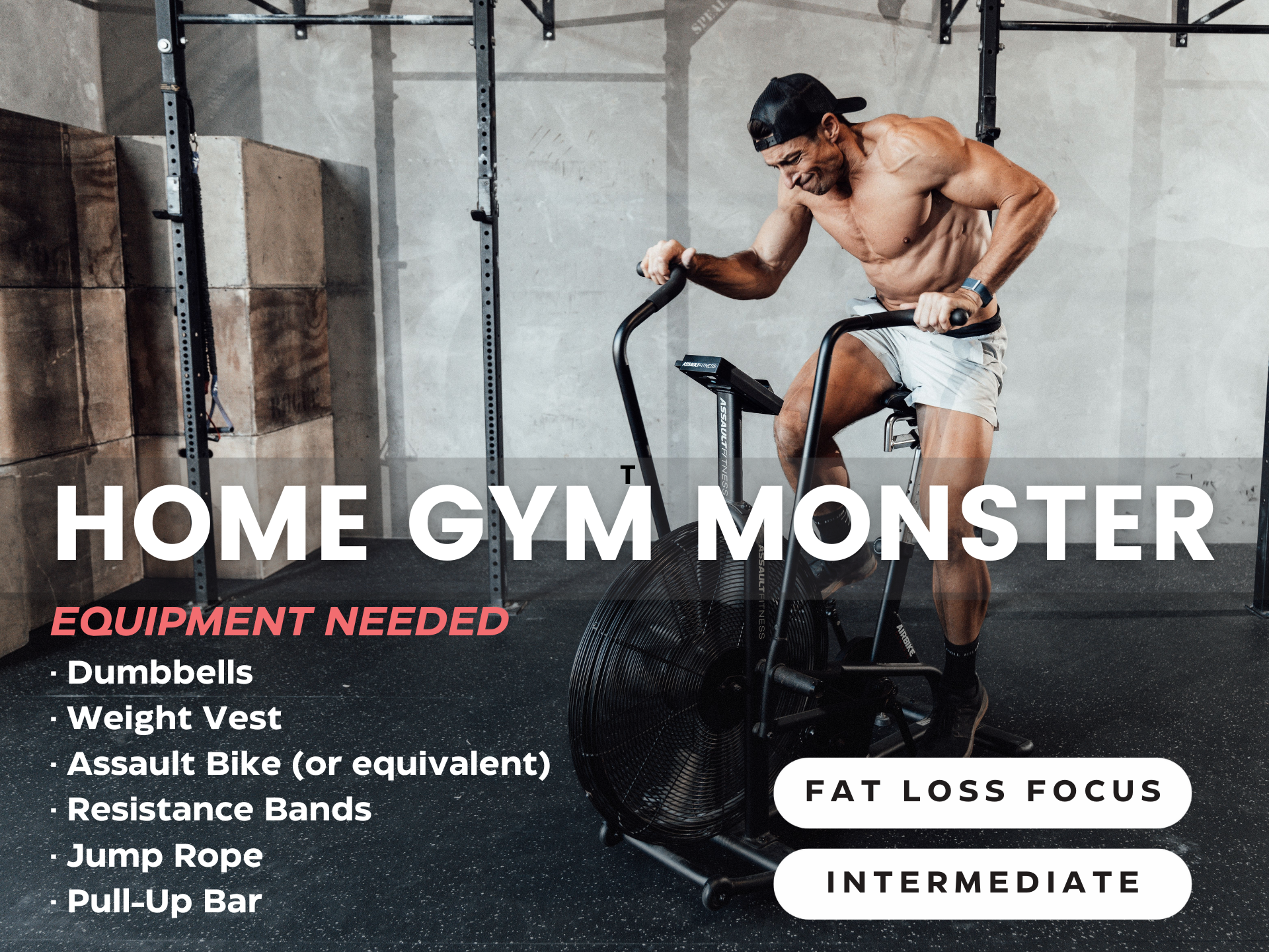 12 Weeks Home Gym Monster Intermediate